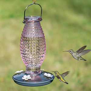 perky-pet-cranberry-hobnail-vintage-hummingbird-feeder