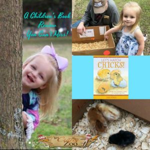 A Childrens Book Review You Cant Miss