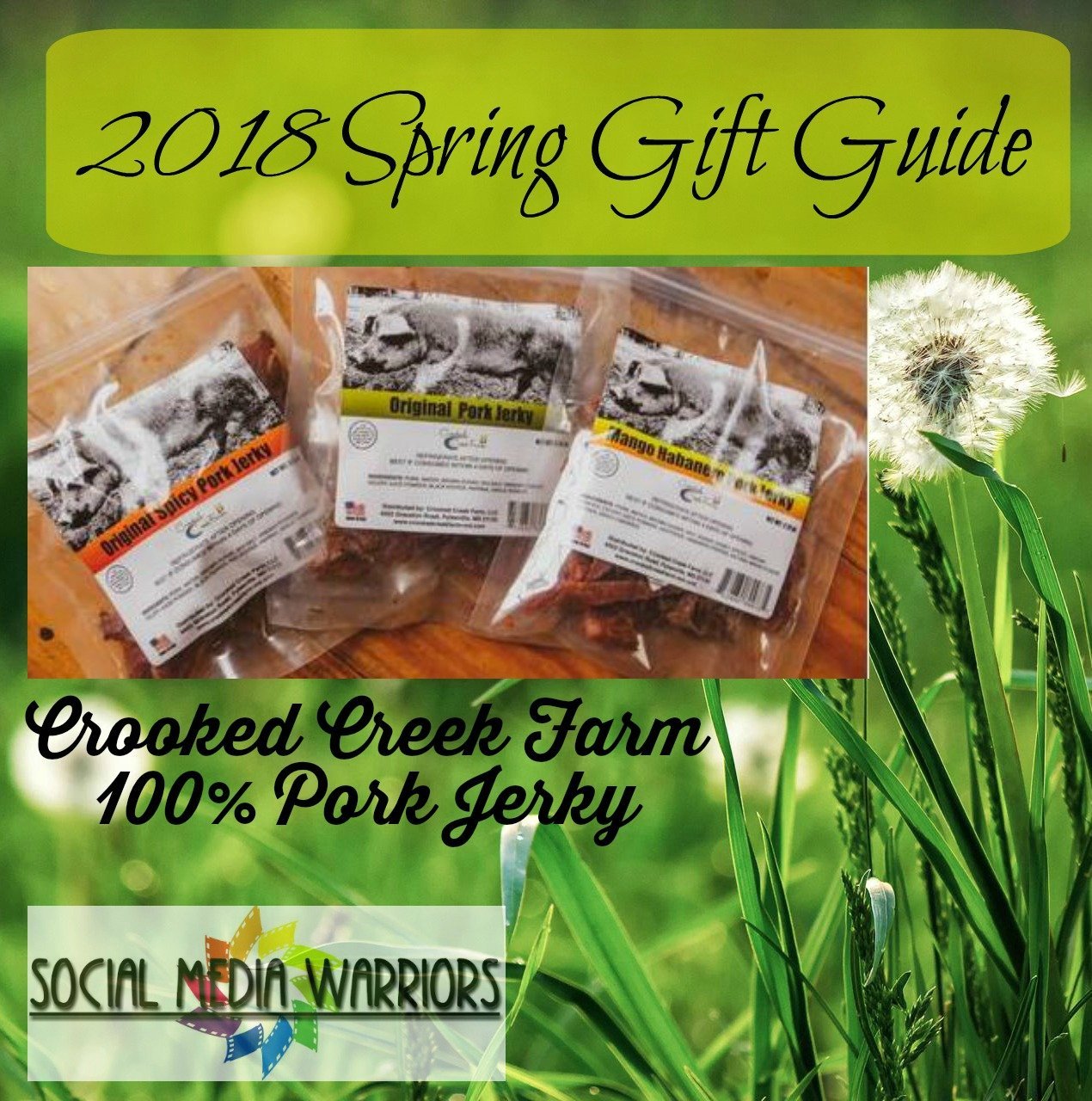 Pork Jerky 100 Pure & Delicious! Made in USA! My Crafty Zoo