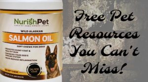 Free Pet Resources You Won't Want to Miss: An Ever Ongoing List
