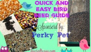 Quick and Easy Bird Seed Guide