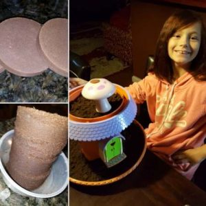 My Fairy Garden: How do Your Fairies Play?