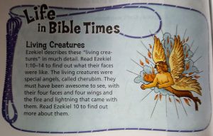 Life in Bible Times: NIV Adventure Bible: Polar Exploration Edition