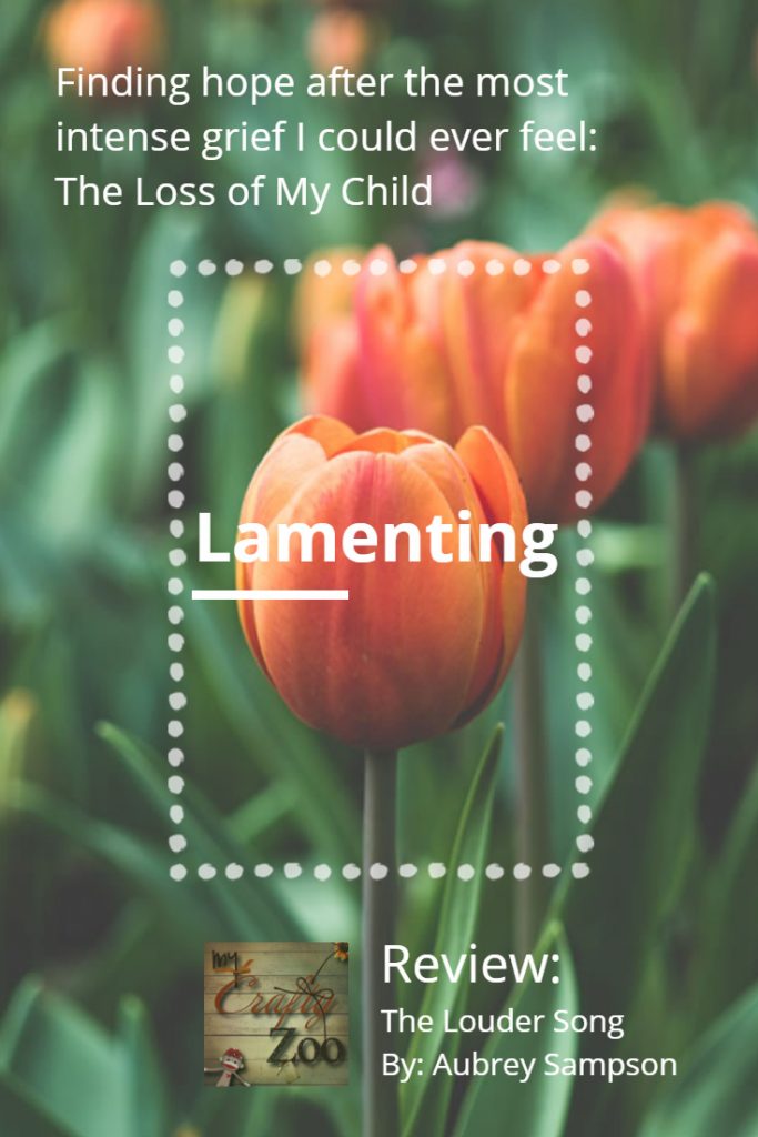 Lamenting: Finding Hope After Losing My Child