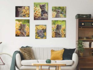 Canvas Printing Tips & A Discount