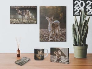 Canvas Printing Tips & A Discount
