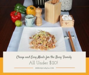 Cheap and Easy Meals for the Busy Family: