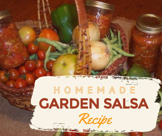 Homemade Garden Salsa Recipe: How to Make Fresh Salsa @MyCraftyZoo