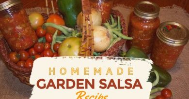Homemade Garden Salsa Recipe: How to Make Fresh Salsa