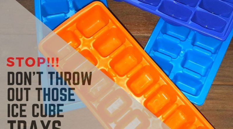 Ice Cube Trays: New Uses You'll Love!