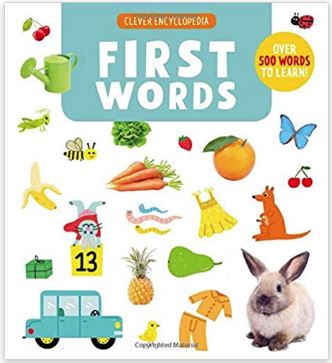 First Words: Books, Games & Activities For Teaching New Words