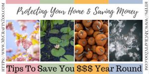 Protecting Your Home & Saving Money